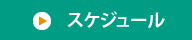 スケジュール