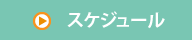 スケジュール
