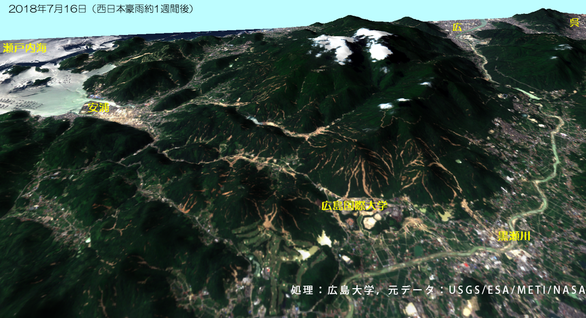 日本地球惑星科学連合(JpGU)の活動