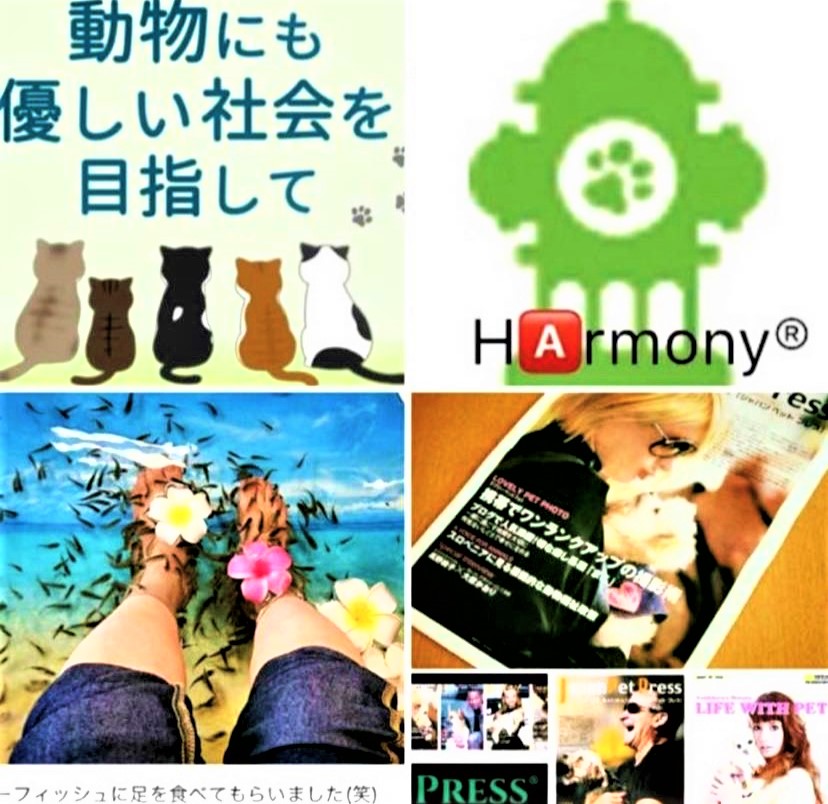 命を守る社会の構築 ー災害とペット アニマルセラピーへの取り組みー